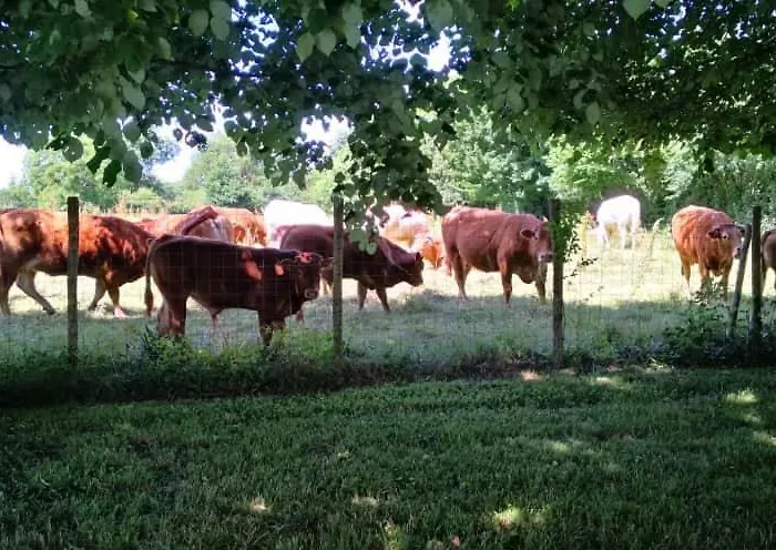 Holiday home De Nanteuil, 10-13 Personnes, Piscine *